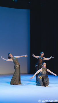 Finesa plesa (2)